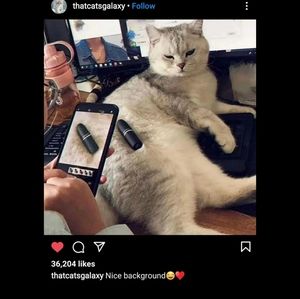 Live Fur background for your MAC lipstick.